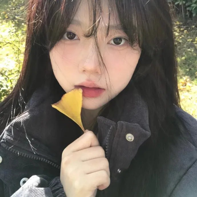 憨姑爷粤语
